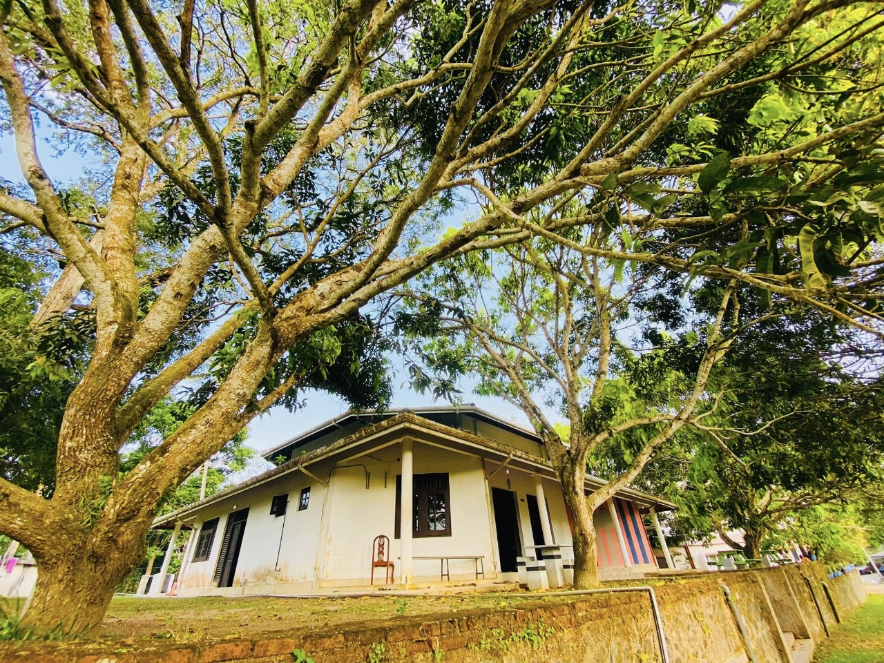 Director Ishara Wewelwala