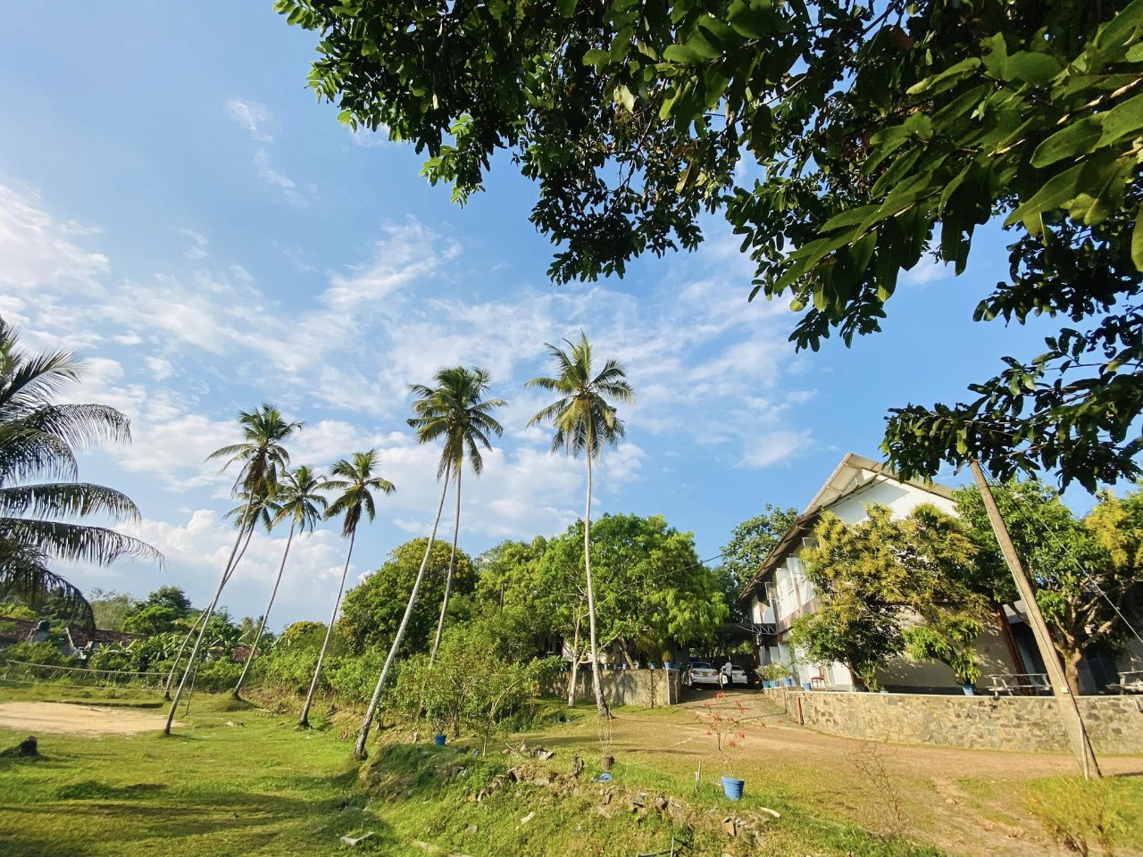Director Ishara Wewelwala